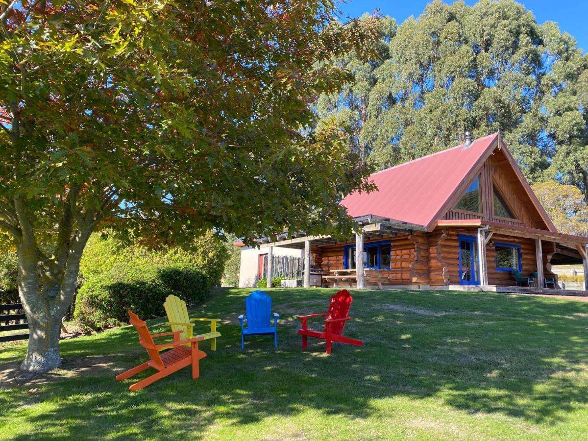Tree Hut Cottage Masterton Esterno foto