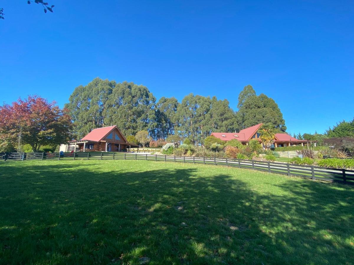 Tree Hut Cottage Masterton Esterno foto